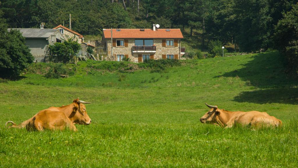Rural Casa Fontequeiroso